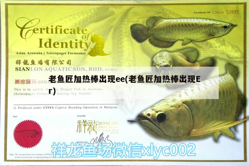 老魚(yú)匠加熱棒出現(xiàn)ee(老魚(yú)匠加熱棒出現(xiàn)Er) 老魚(yú)匠