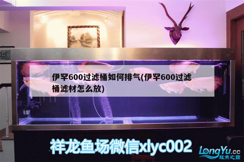 伊罕600過濾桶如何排氣(伊罕600過濾桶濾材怎么放)