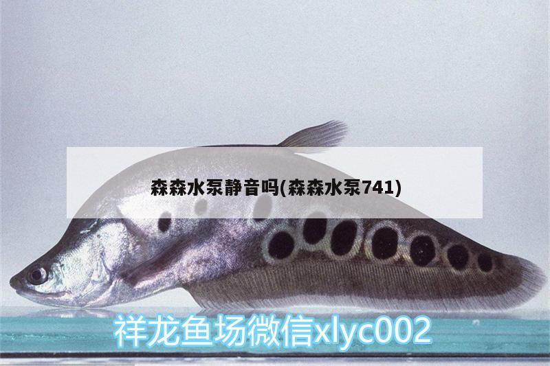 龍魚(yú)疾病圖片大全高清（龍魚(yú)疾病圖片大全高清圖）