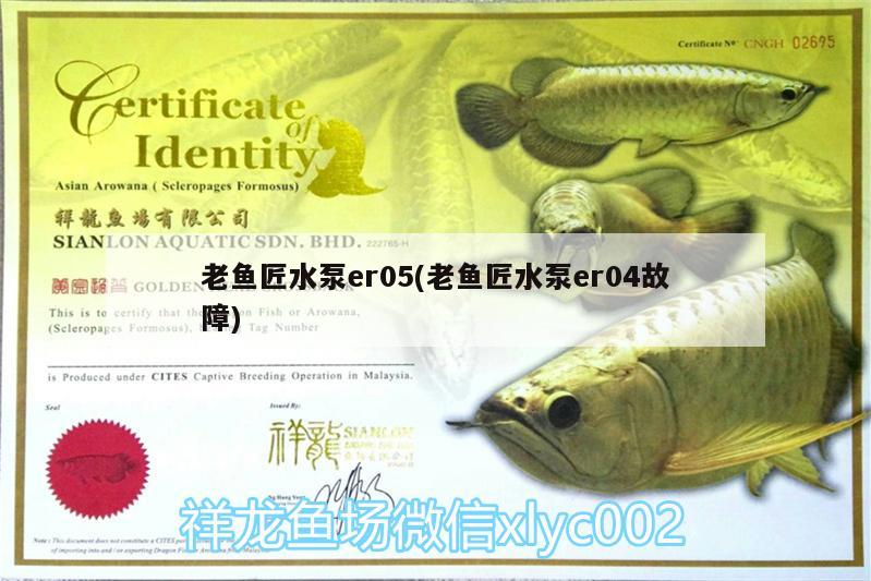 老魚匠水泵er05(老魚匠水泵er04故障)