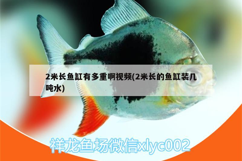 2米長魚缸有多重啊視頻(2米長的魚缸裝幾噸水)