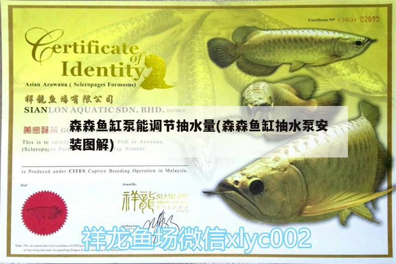 森森魚缸泵能調(diào)節(jié)抽水量(森森魚缸抽水泵安裝圖解) 泰國虎魚