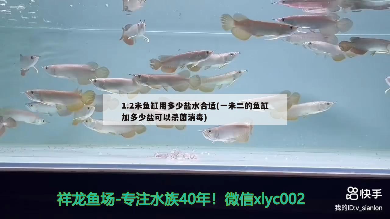 1.2米魚缸用多少鹽水合適(一米二的魚缸加多少鹽可以殺菌消毒)