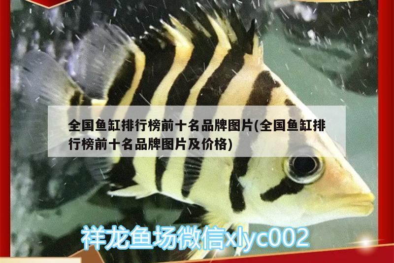 全國魚缸排行榜前十名品牌圖片(全國魚缸排行榜前十名品牌圖片及價(jià)格)