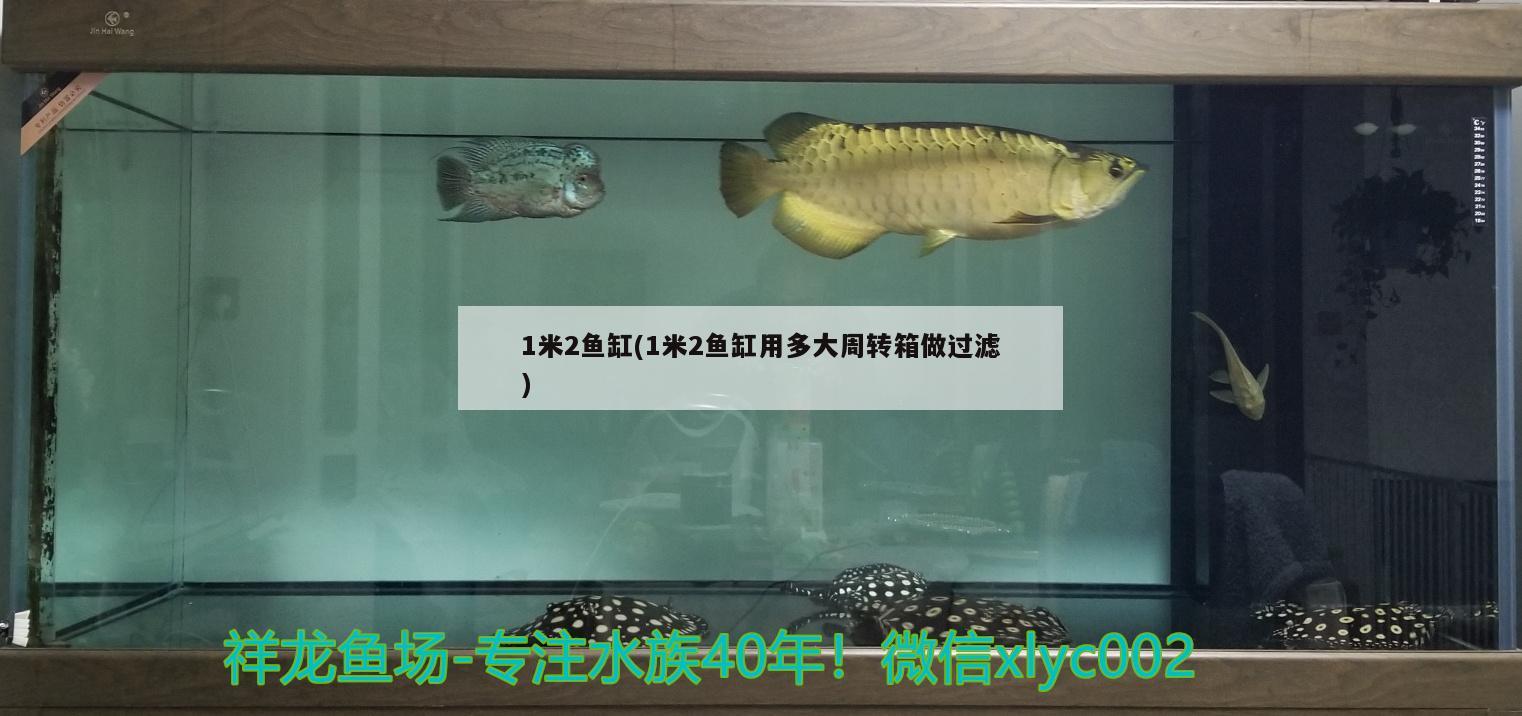 1米2魚缸(1米2魚缸用多大周轉(zhuǎn)箱做過濾)