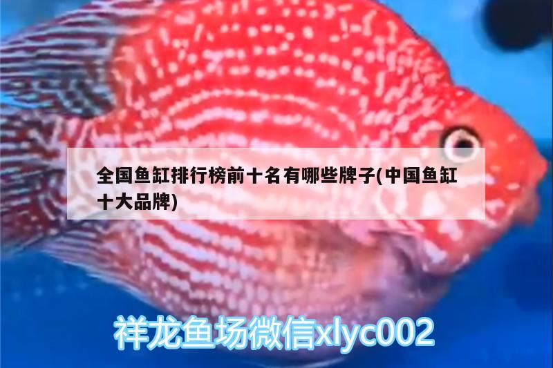 全國魚缸排行榜前十名有哪些牌子(中國魚缸十大品牌)