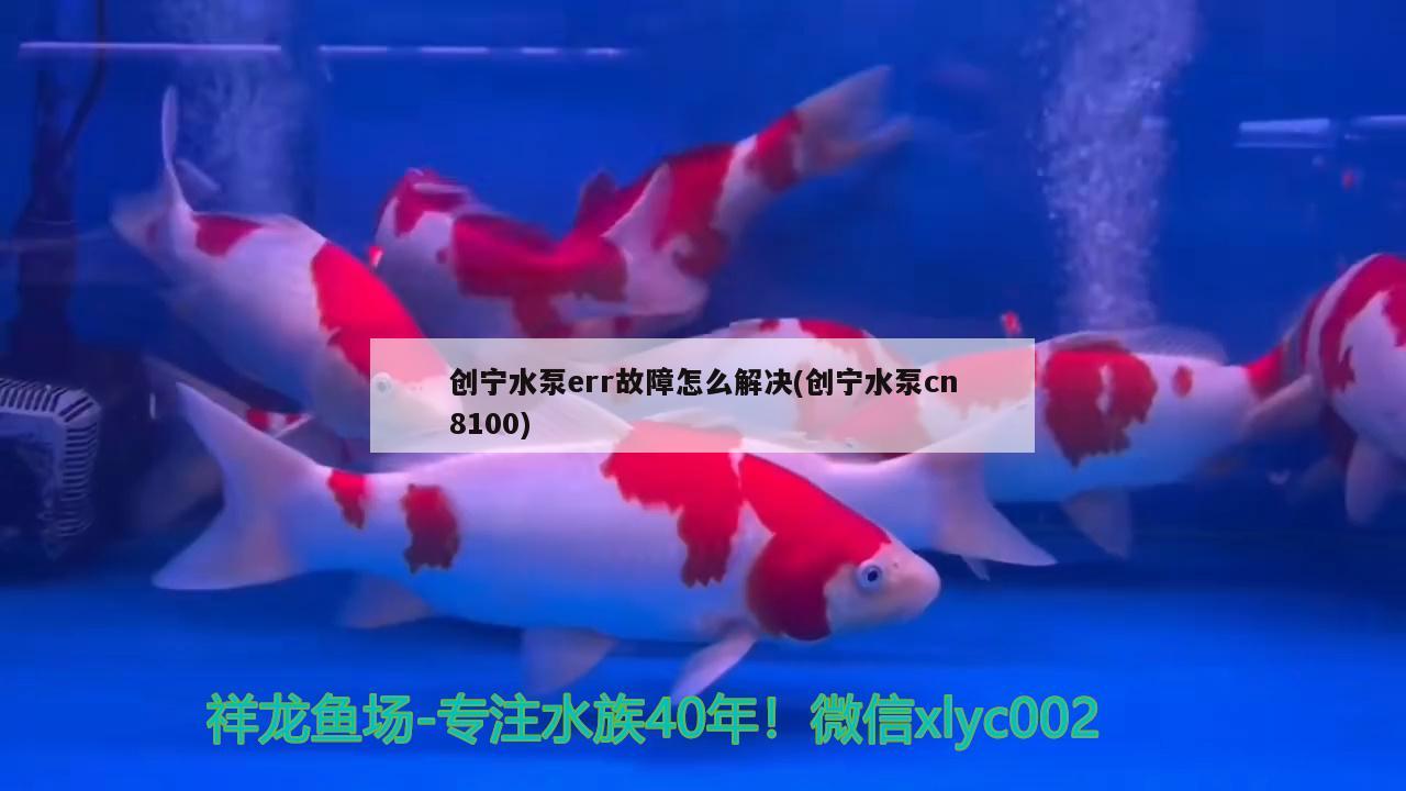 創(chuàng)寧水泵err故障怎么解決(創(chuàng)寧水泵cn8100)