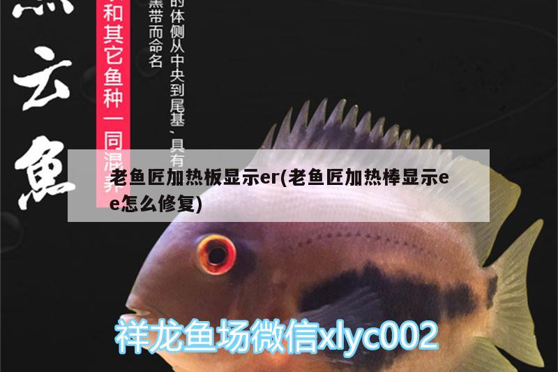 老魚匠加熱板顯示er(老魚匠加熱棒顯示ee怎么修復)