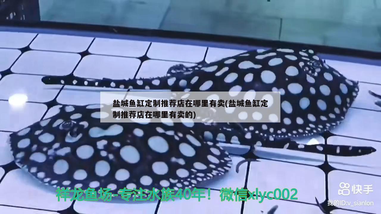 鹽城魚缸定制推薦店在哪里有賣(鹽城魚缸定制推薦店在哪里有賣的)