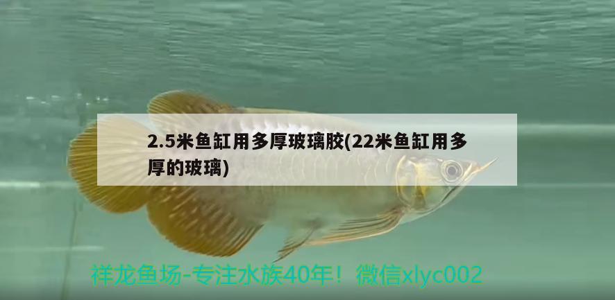 2.5米魚缸用多厚玻璃膠(22米魚缸用多厚的玻璃) 斑馬鴨嘴魚