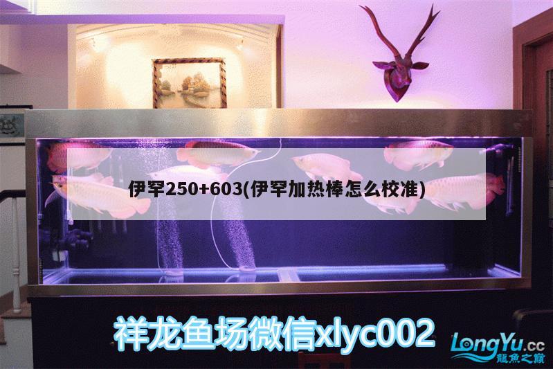 伊罕250+603(伊罕加熱棒怎么校準(zhǔn))