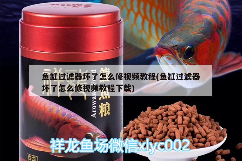 魚缸過濾器壞了怎么修視頻教程(魚缸過濾器壞了怎么修視頻教程下載)