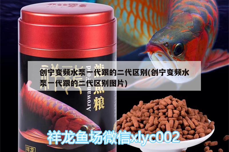 創(chuàng)寧變頻水泵一代跟的二代區(qū)別(創(chuàng)寧變頻水泵一代跟的二代區(qū)別圖片)