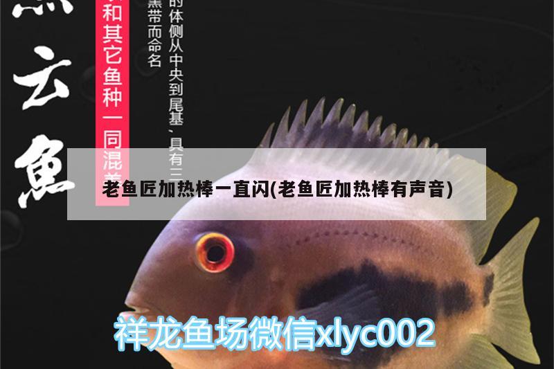 老魚(yú)匠加熱棒一直閃(老魚(yú)匠加熱棒有聲音) 老魚(yú)匠