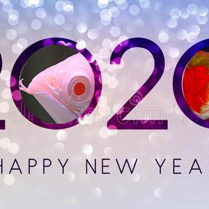 祥龍魚場感恩2019有您一路同行，讓我們一起加油！2020！